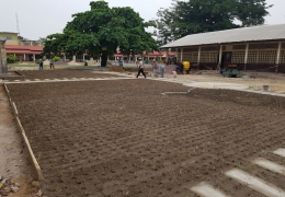 Ecole de la Fraternité, Brazzaville - Les plantations sont en cours.